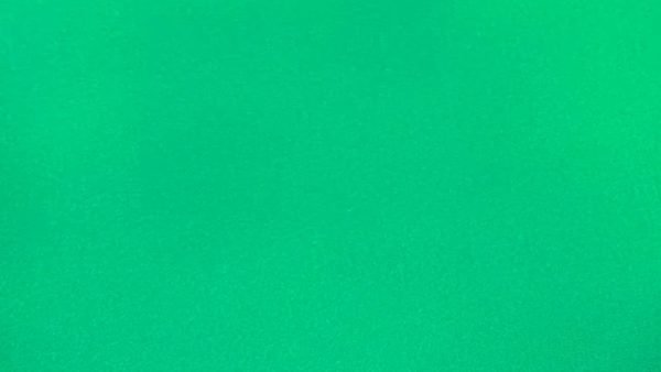 SUNBRELLA SHADE CANVAS FABRIC AWNING SILICA ERIN GREEN 4600 WATERPROOF 47"