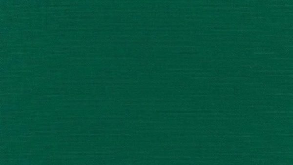 SUNBRELLA SHADE CANVAS FABRIC AWNING FOREST GREEN 4637 WATERPROOF 47"